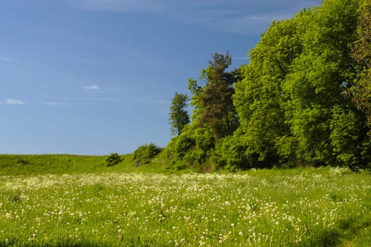 idyll