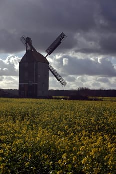 Windmill in the rapeseed field