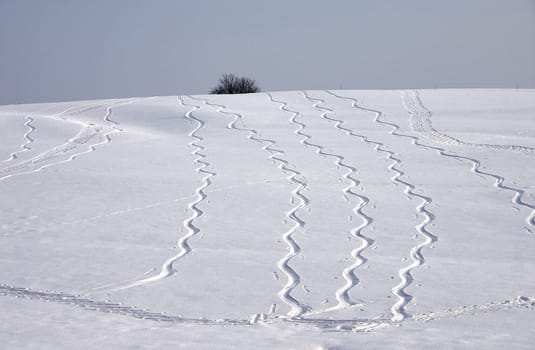 Serpentine lines