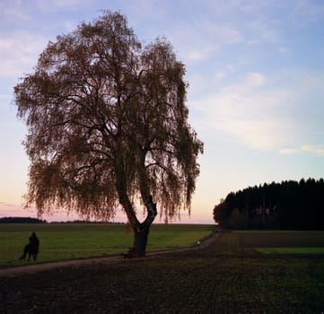 Photographed with an AGFA ISOLETTE II from the 50s...