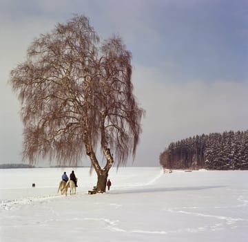 6x6 - photographed with an AGFA ISOLETTE II from the 50s - now in professional scan quality