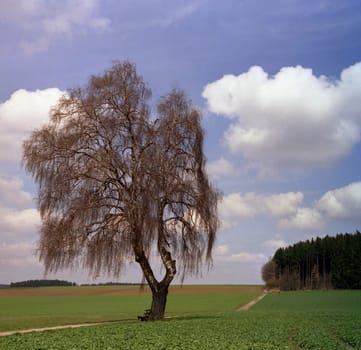 Photographed with an AGFA ISOLETTE II from the 50s...