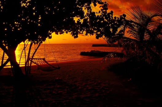Secluded spot on the Maldives island of Lohifushi. You can forget almost everything.