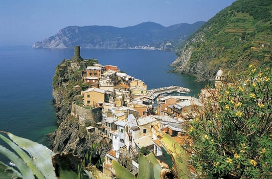 Immersed in the green of the wine terraces,the olive groves and an enchanting flora of the Mediterranean scrub.