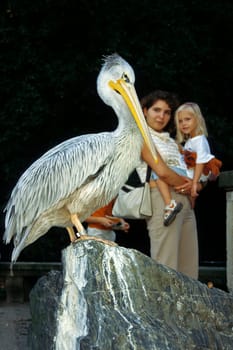 in the zoo
