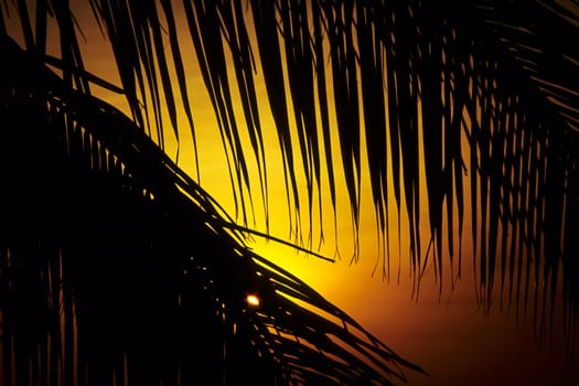 In the mood for a holiday