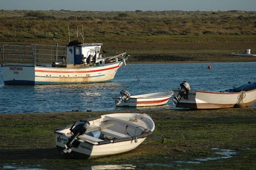 Fishing boats