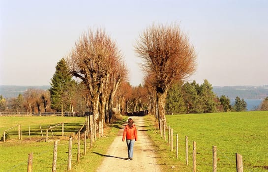 ... near Lake Starnberg in the golden sun in the late afternoon...