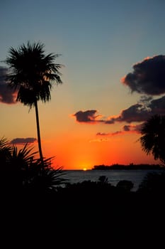 Sunset in front of Cayo Largo / Cuba. Nikon F50,Fuji Velvia.