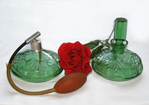 Roses