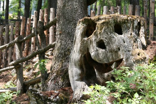 Tooth gap