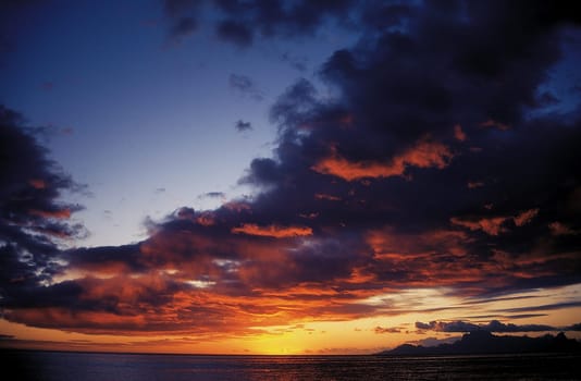 South Seas romance