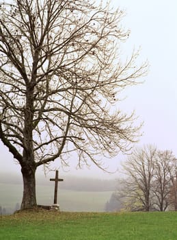 Into the Unknown