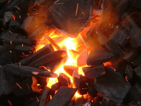 BBQ time