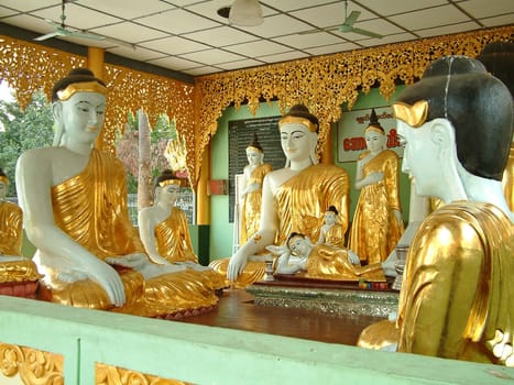 Buddha Group