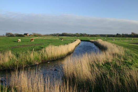 Somewhere in North Frisia