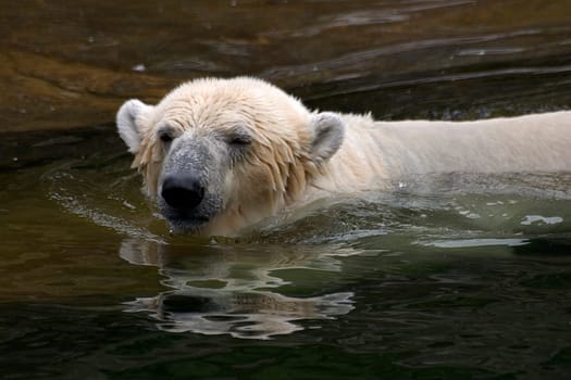 Bathing fun II