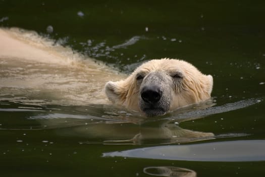 Bathing fun XV