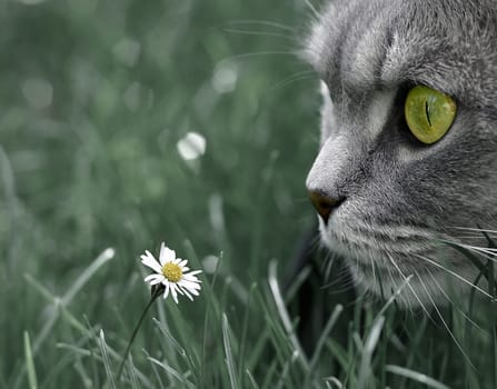 On the lookout