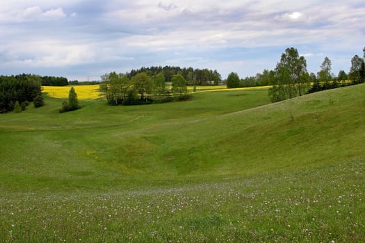 Landscape
