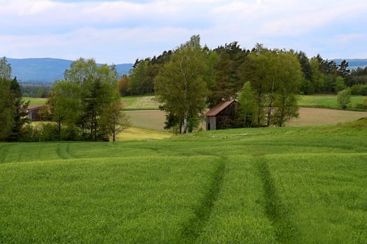 Landscape