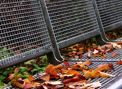 Park bench