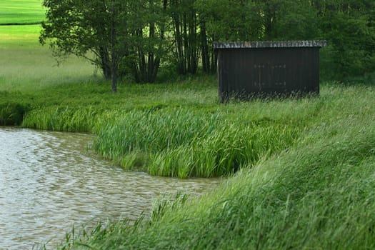 Small pond