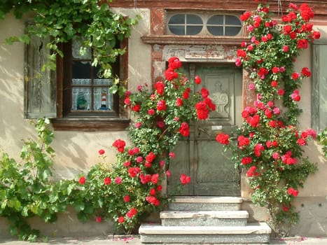 Rose entrance