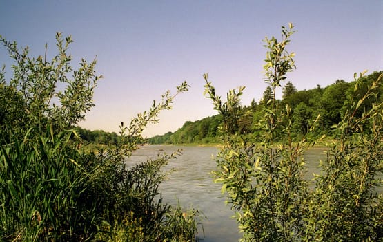 By the river