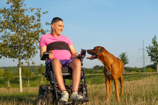 A male in a black wheelchair engages in playtime with his pet dog in a sunlit meadow