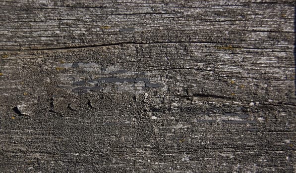 Black and gray texture of old wood. Background, wood texture, old gray wooden board with cracks