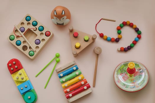 Eco-friendly colored wooden educational toys according to the Montessori method for preschool children. Children's wooden toys. Educational logic toys for kids. Montessori Games for Child Development