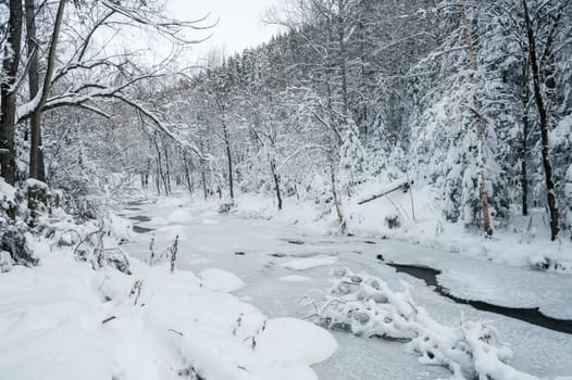 Beauty winter landscape with fair trees and river under the snow.