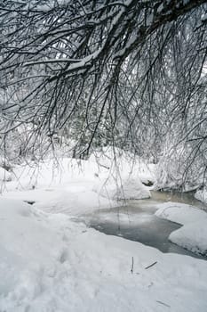 Beauty winter landscape with fair trees and river under the snow.