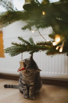 Cute funny cat on background of stylish decorated christmas tree. Pet and winter holidays. Atmospheric cozy christmas eve