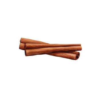 Dried cinnamon sticks bunchwith a watercolor illustration. AI