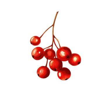 Ripe red rowan berry on branch. Eco natural product. Organic food. Watercolor. AI