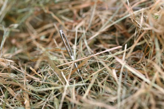 Needle in a haystack