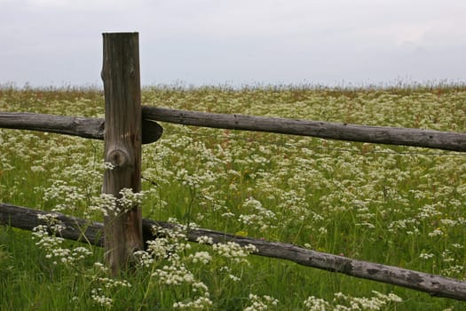 Fence