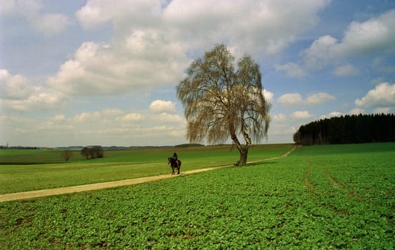 Idyll in the countryside