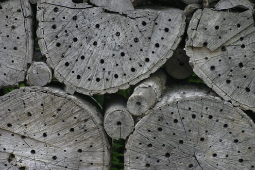 Insect hotel
