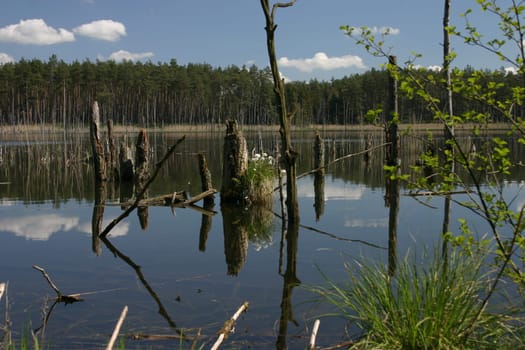 Mühlensee