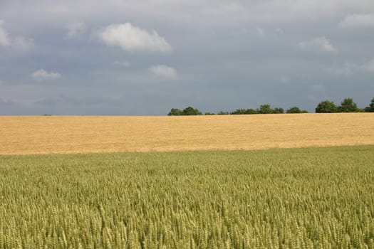 Cultural landscape