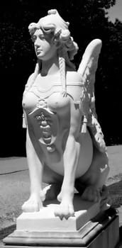 Female Lion Angel 2