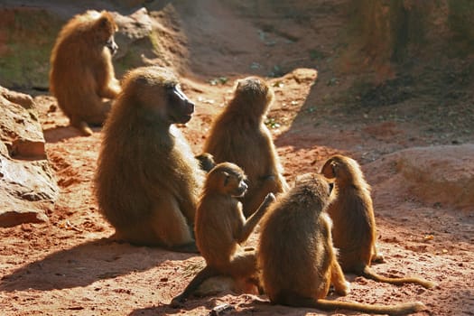 Family reunion