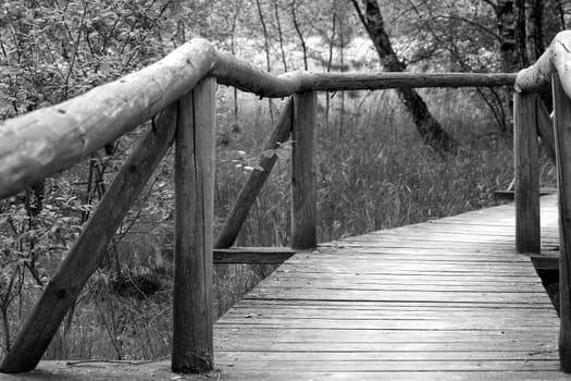 Bridge