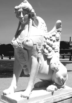 female lion angel 3