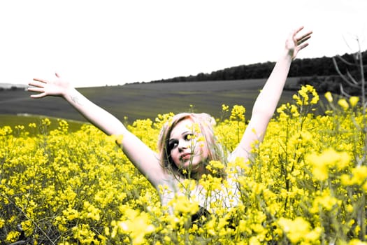 Rapeseed Games II