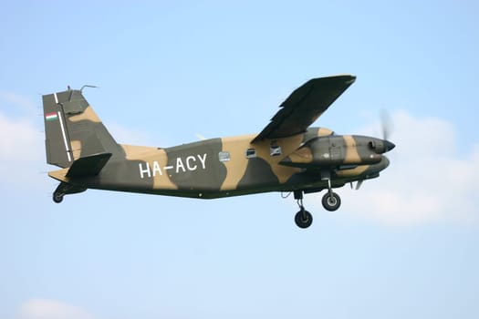 Spotted camouflage flyer