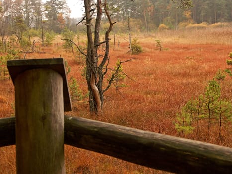 Autumnal prospects